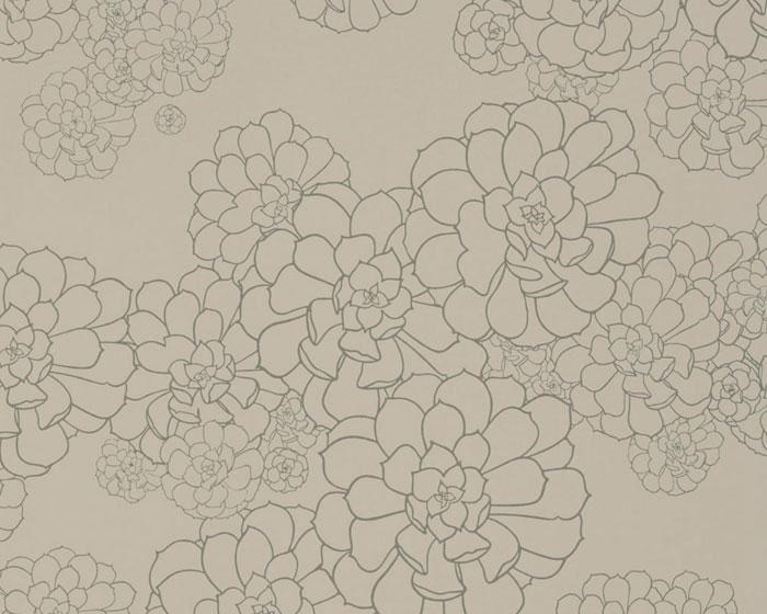 Paint & Paper Library Aeonium Cotton PPAECO Wallpaper