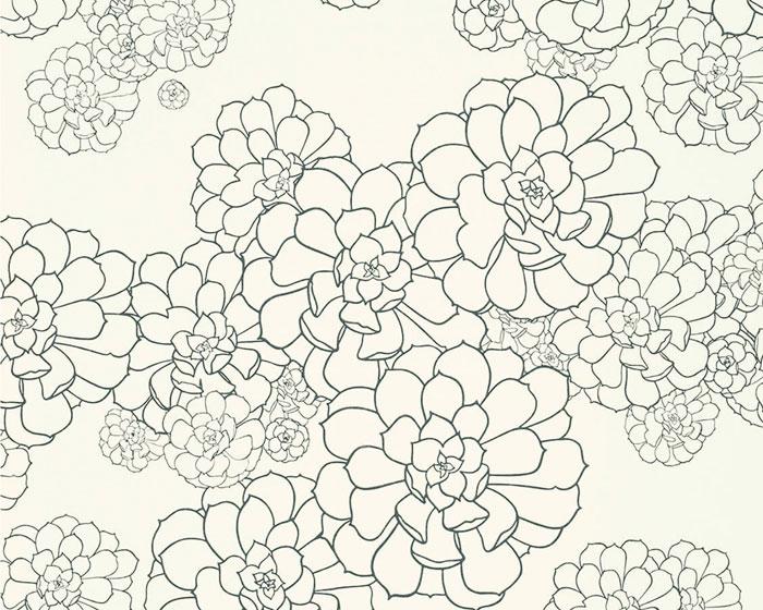 Paint & Paper Library Aeonium Clean White PPAECW Wallpaper