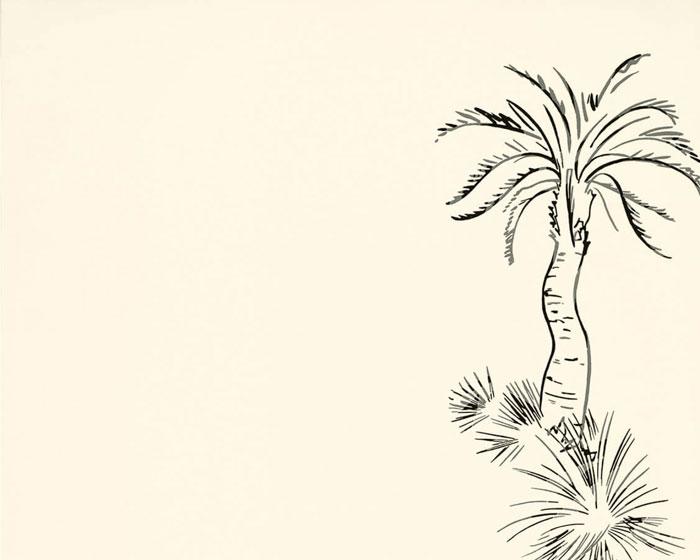 Paint & Paper Library Lighthouse Palm Pentle PPLPPE Wallpaper