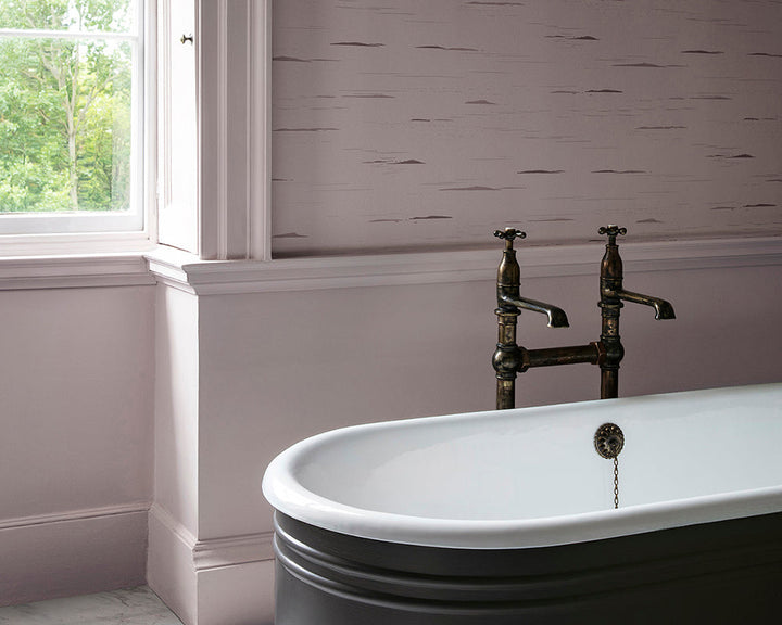 Paint & Paper Library Plaster IV on bathroom walls