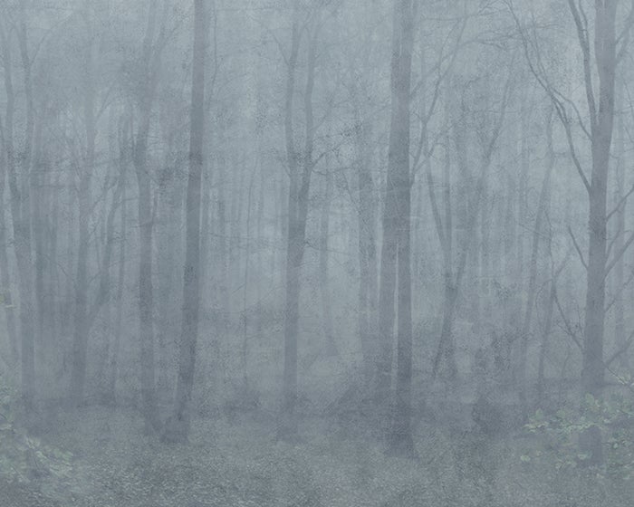 Sandberg Skog Misty Blue S10106