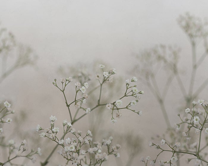 Sandberg Julia Spring Green S10129