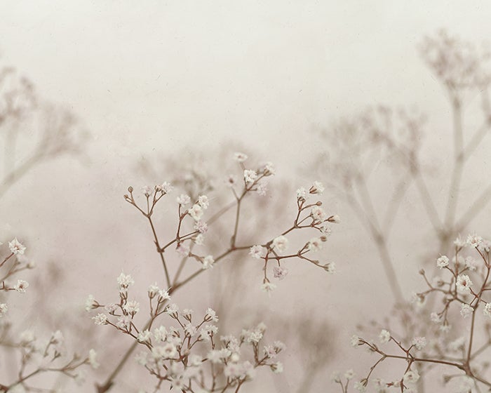 Sandberg Julia Blush S10130