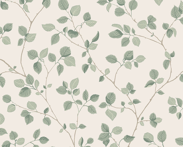 Sandberg Bokskog Wallpaper