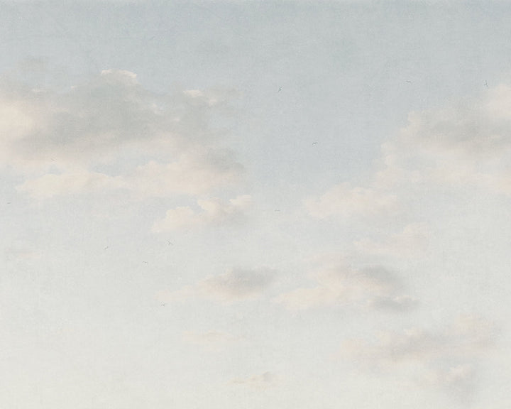 Sandberg Moln Wallpaper