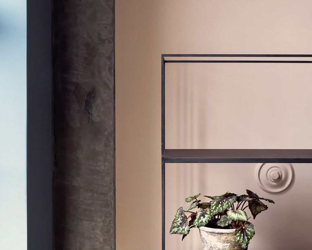 Paint & Paper Library Temple paint on walls