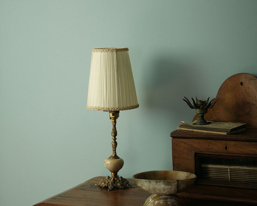 Fired Earth A Dip in the Lake Paint in Room