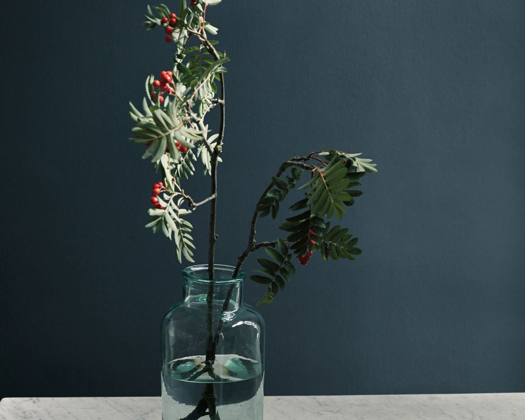 Fired Earth Carbon Blue Paint in Room