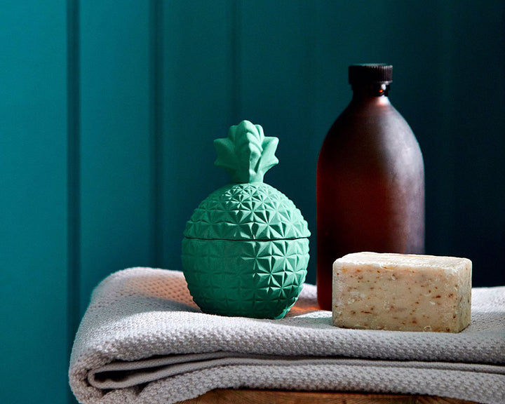 Sanderson Newby Green paint on walls