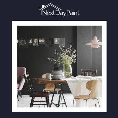 Introducing Next Day Paint, our sister website!