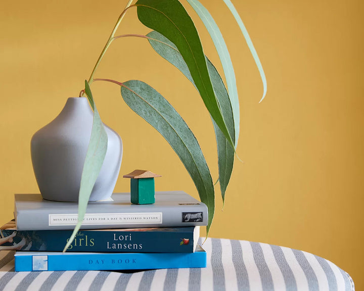 Stack of books with a vase and plant on a striped surface against a yellow background of Earthborn Three Bears Paint colour