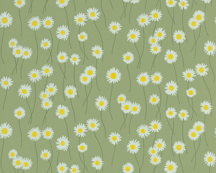Little Greene Moon Daisies Wallpaper, Pattern of white flowers with yellow centers on a green background