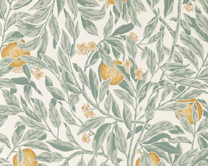 Sanderson Ancient Apple Wallpaper