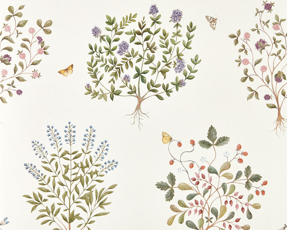 Sanderson Thyme Walk Wallpaper