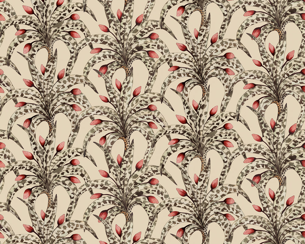 Cole & Son Afrika Damask Wallpaper