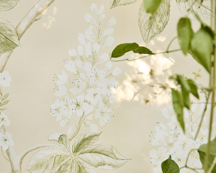 Sanderson Chestnut Tree Wallpaper