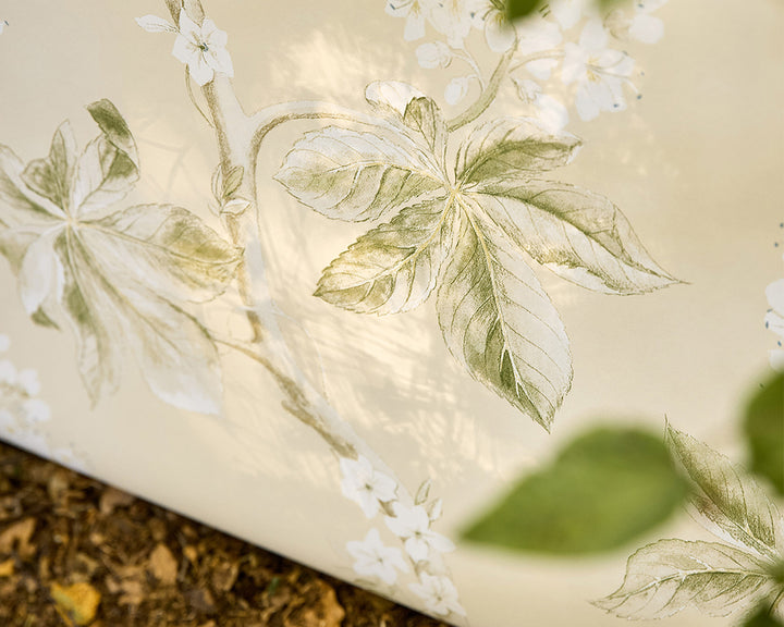 Sanderson Chestnut Tree Wallpaper