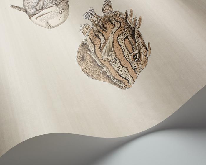Cole & Son Acquario Wallpaper wave