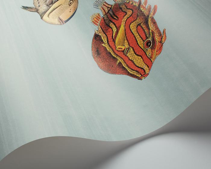 Cole & Son Acquario Wallpaper wave