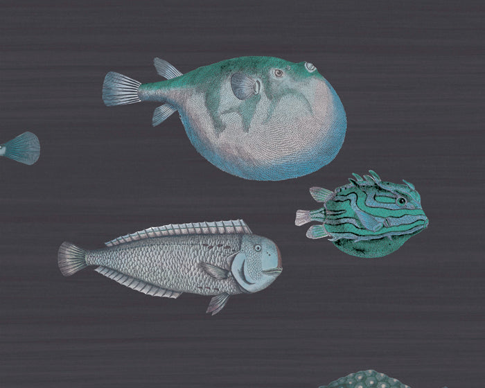 Cole & Son Acquario Wallpaper