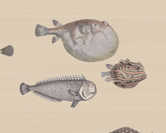 Cole & Son Acquario Wallpaper