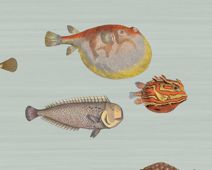 Cole & Son Acquario Wallpaper