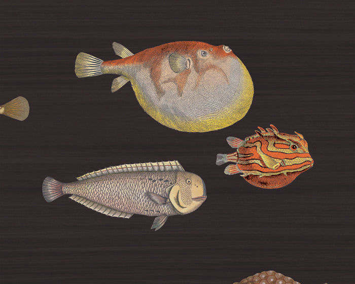 Cole & Son Acquario Wallpaper