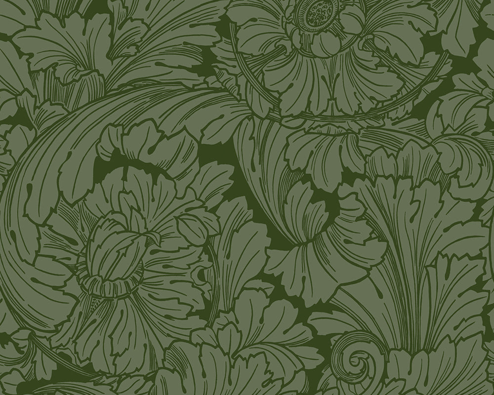 Cole & Son Acanthus Wallpaper