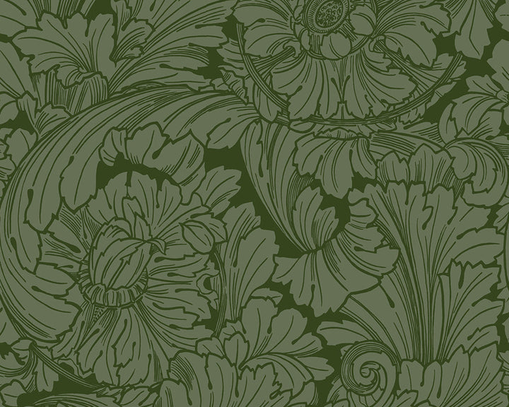 Cole & Son Acanthus Wallpaper