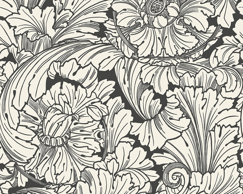 Cole & Son Acanthus Wallpaper
