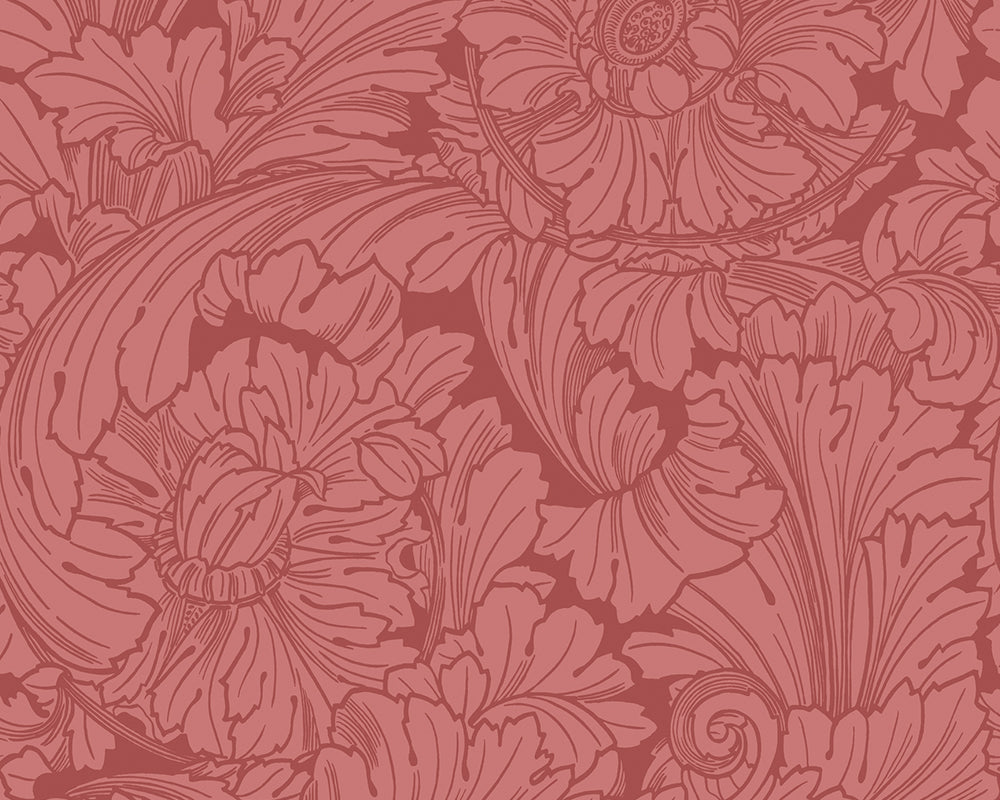 Cole & Son Acanthus Wallpaper