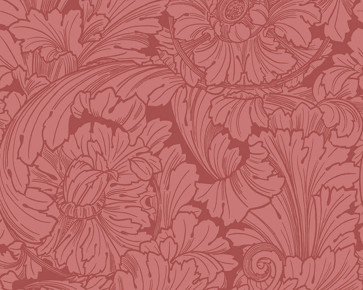 Cole & Son Acanthus Wallpaper