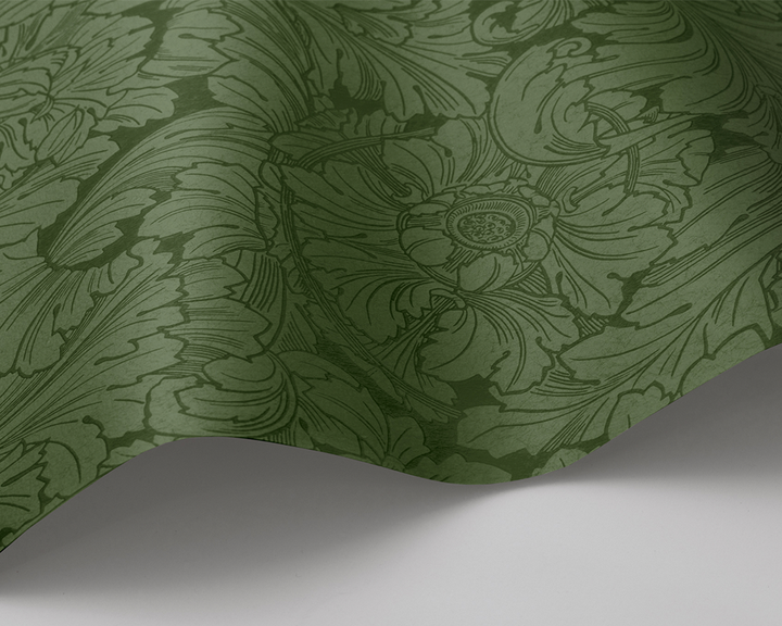 Cole & Son Acanthus Wave in Forest