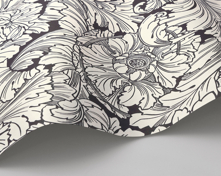 Cole & Son Acanthus Wave in Soot & Snow