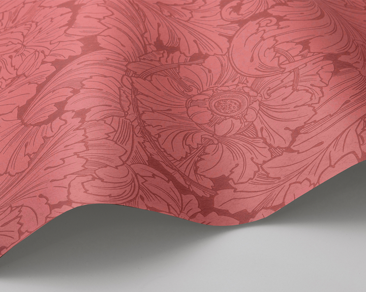 Cole & Son Acanthus Wave in Stately Home Red