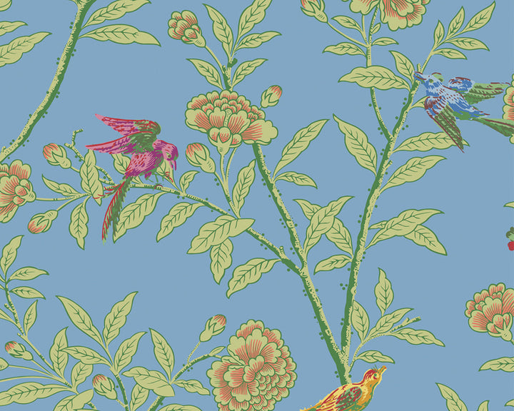 Cole & Son Roseberry with Birds Wallpaper