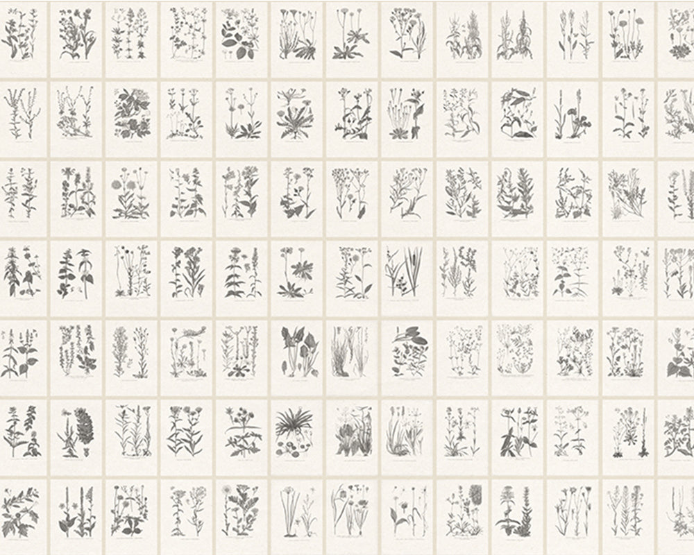 Sandberg Botanica Mural Wallpaper