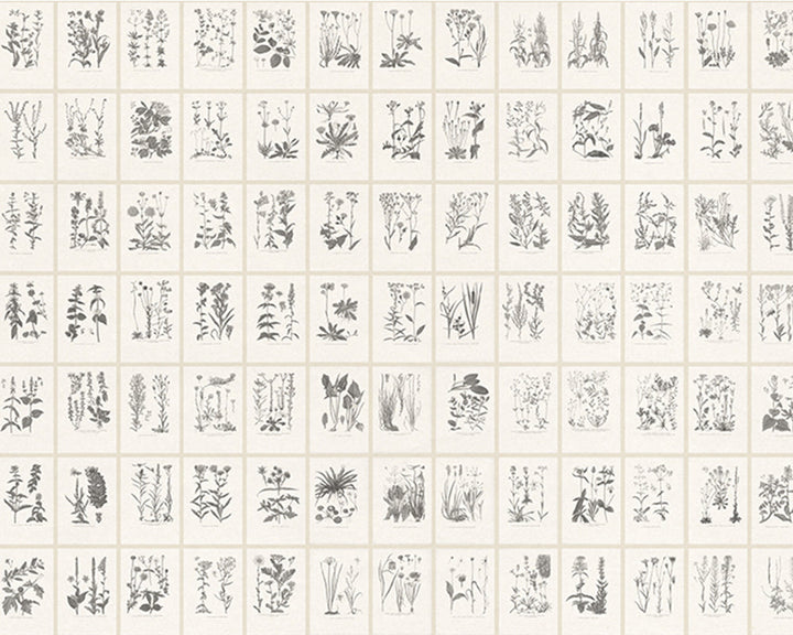 Sandberg Botanica Mural Wallpaper