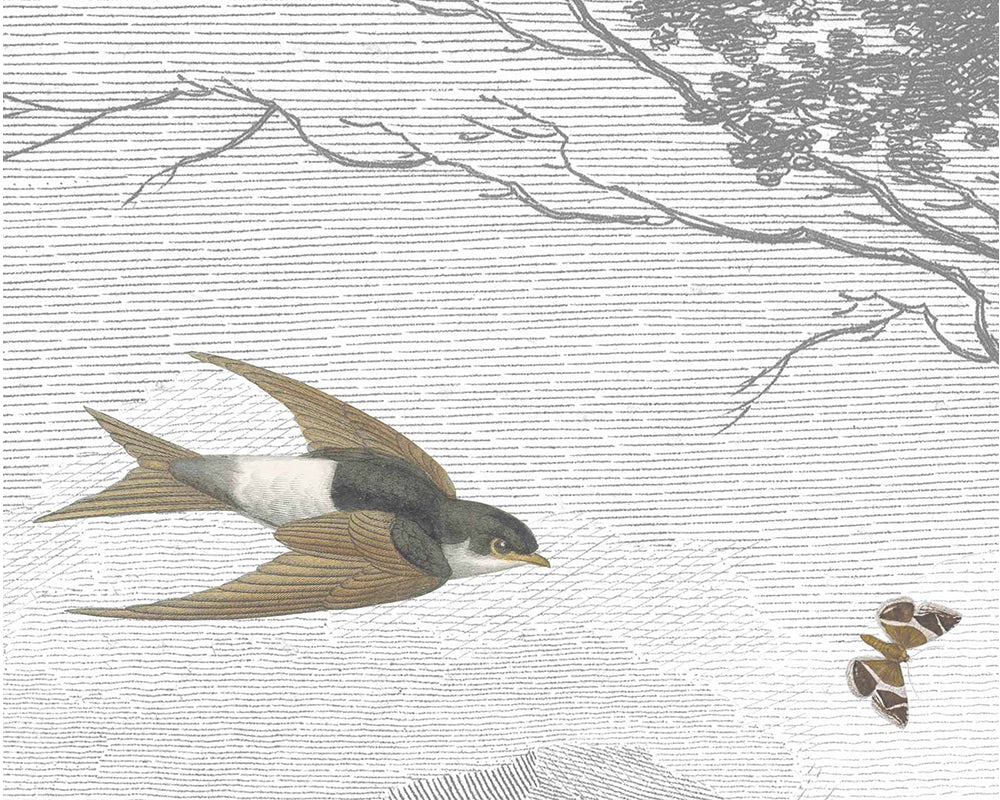 Woodchip & Magnolia Zephyr Mural Wallpaper close up