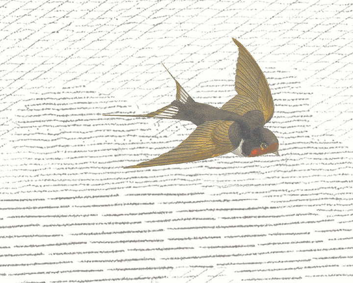 Woodchip & Magnolia Sweeping Swallows Wallpaper close up