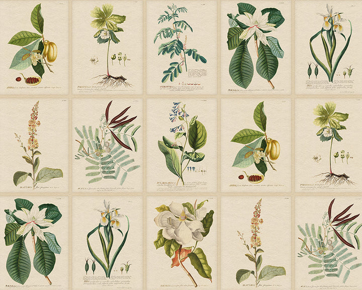 Sandberg Flora Mural Wallpaper