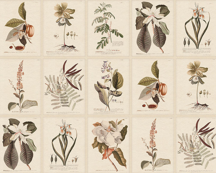 Sandberg Flora Mural Wallpaper