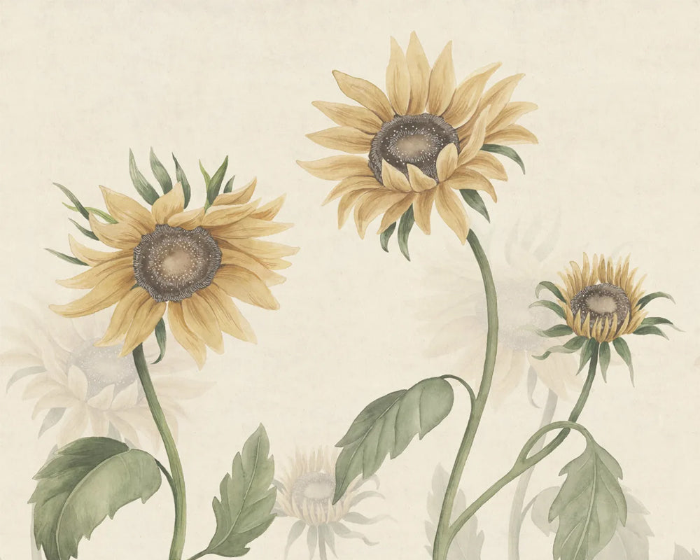 Sandberg Sunflowers Wallpaper in Yellow