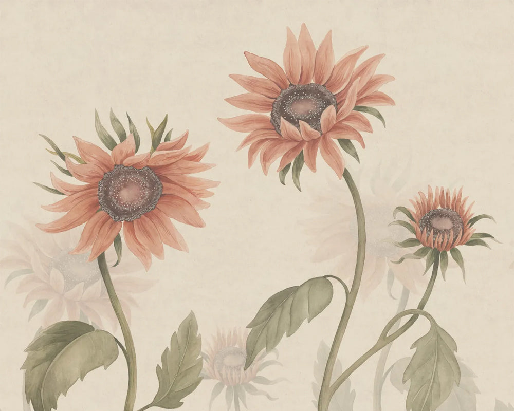 Sandberg Sunflowers Wallpaper