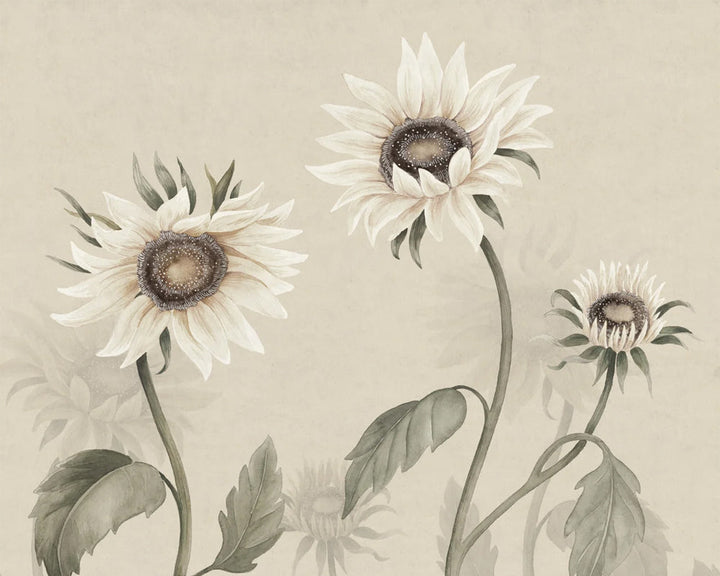 Sandberg Sunflowers Wallpaper