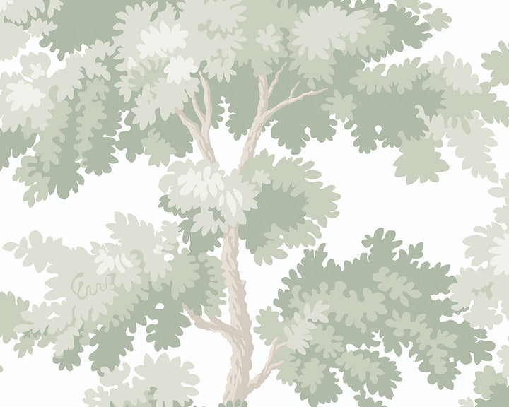 Sandberg Raphael Wallpaper in Light Green