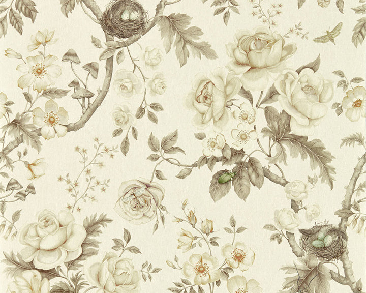 Sanderson Tansy Bloom Wallpaper