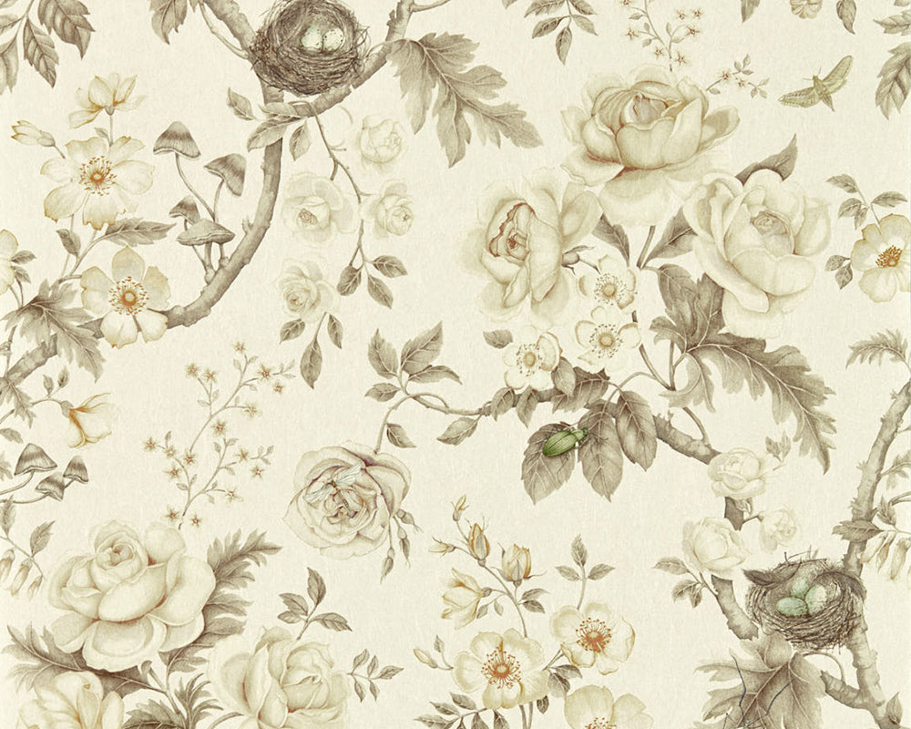 Sanderson Tansy Bloom Wallpaper
