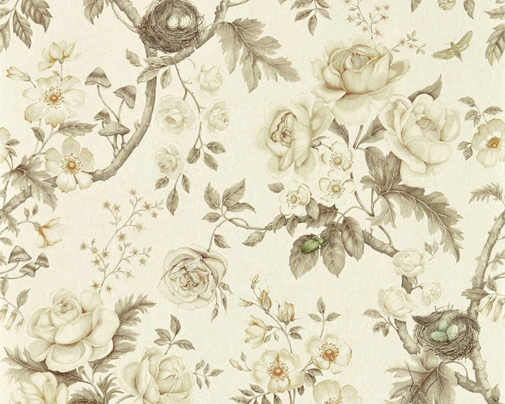 Sanderson Tansy Bloom Wallpaper