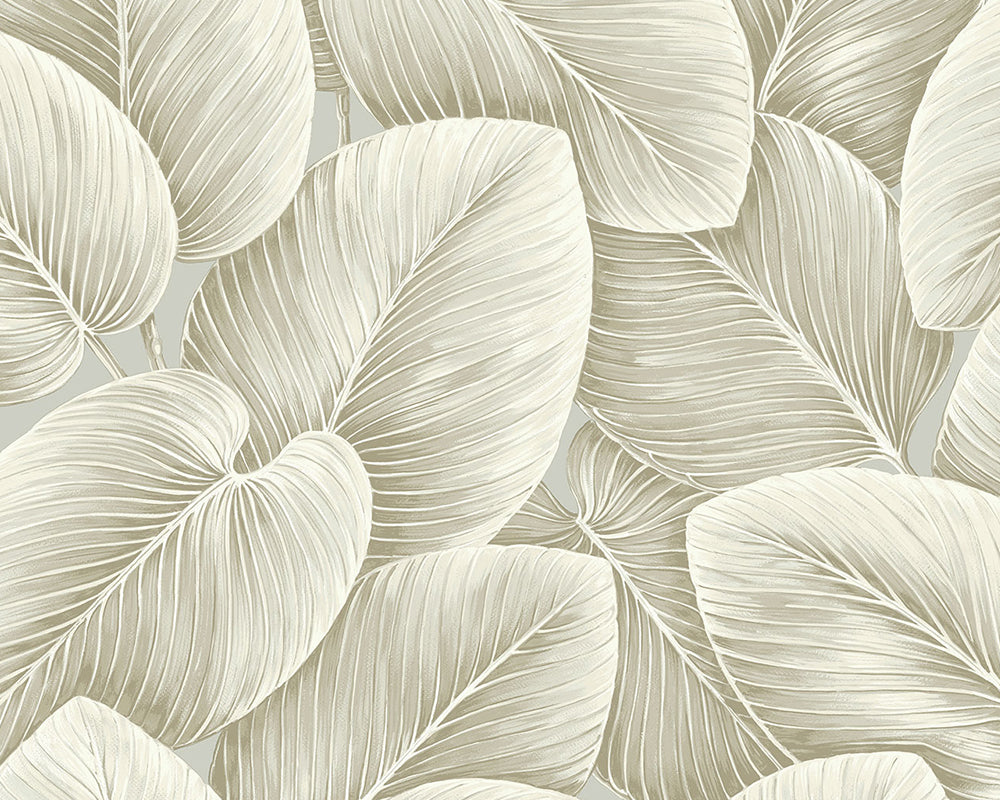 Today Interiors Savannah Grass Wallpaper LS60305